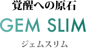 覚醒への原石 GEM SLIM